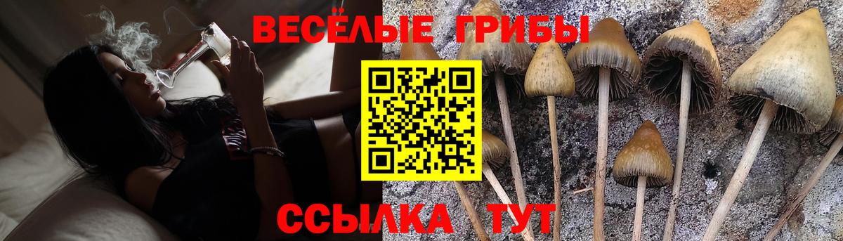 Псилоцибиновые грибы GOLDEN TEACHER Горно-Алтайск