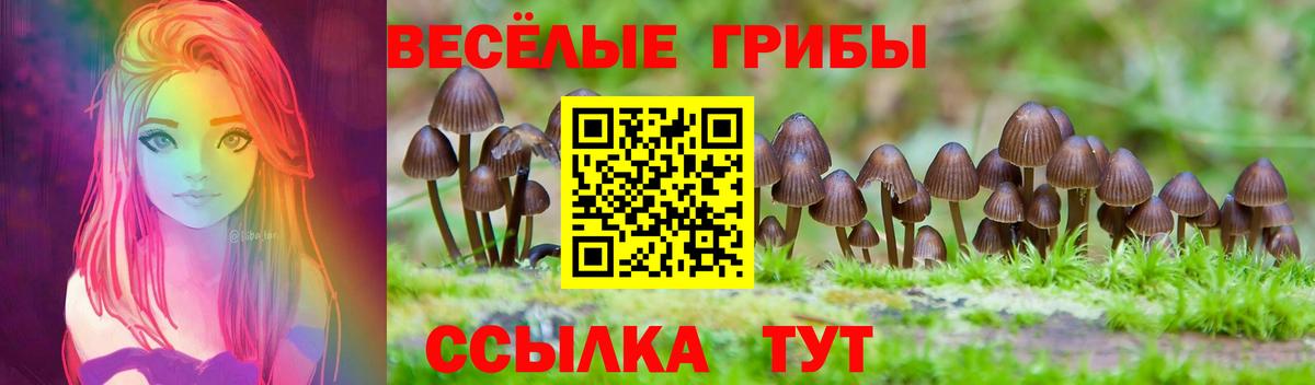 Псилоцибиновые грибы Psilocybe  сколько стоит  Вход с VPN  Горно-Алтайск  Псилоцибиновые грибы Magic Shrooms 